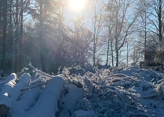 度假居 Hubertusgrund