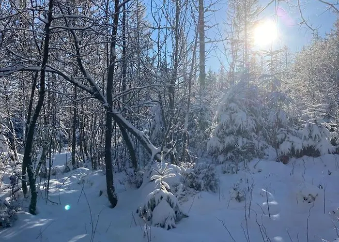Hubertusgrund 圣安德里斯伯格