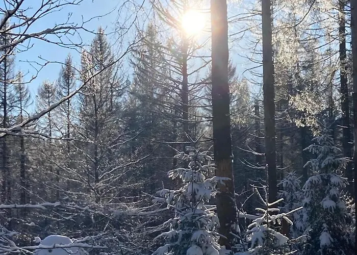 Hubertusgrund 度假居 圣安德里斯伯格